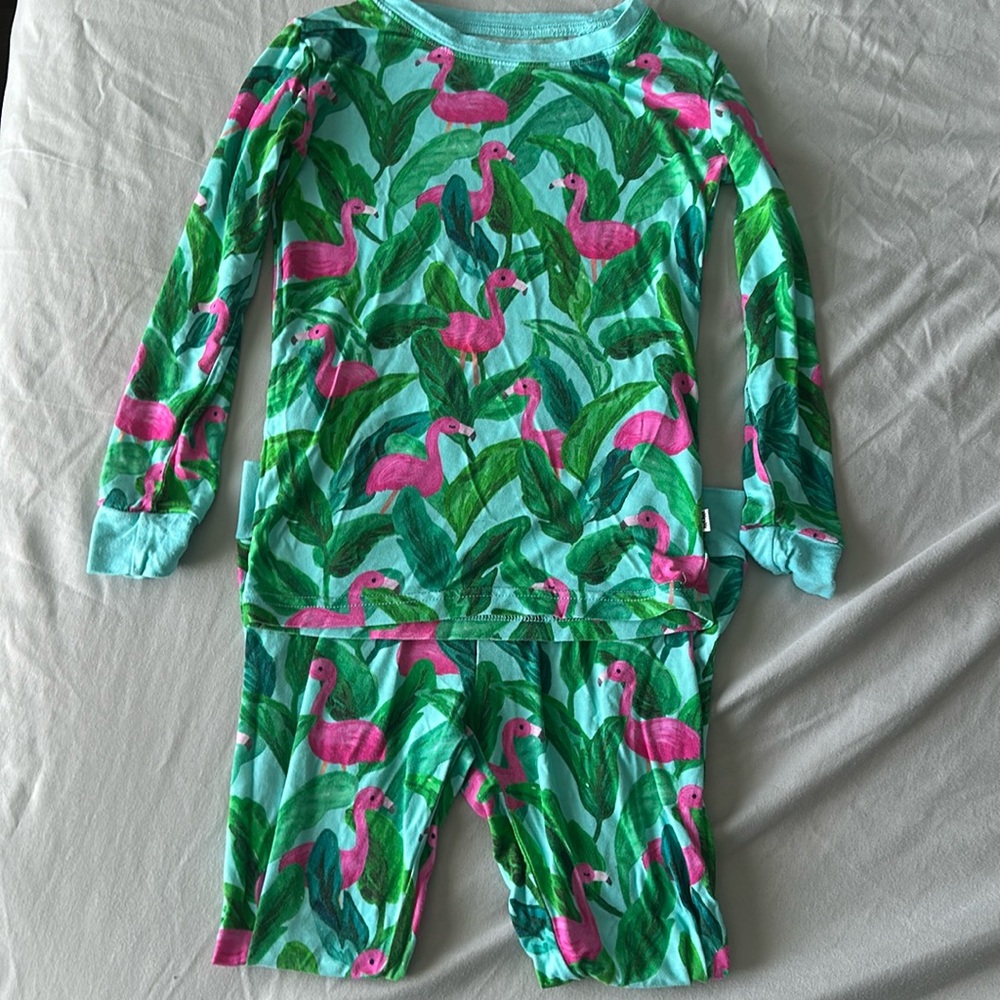 Little sleepies two piece pajamas
